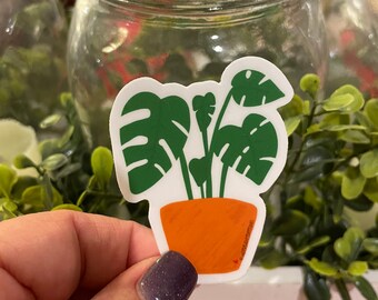 Monstera Plant Vinyl Sticker for Journals, hydros, laptops and more with **FREE SHIPPING**