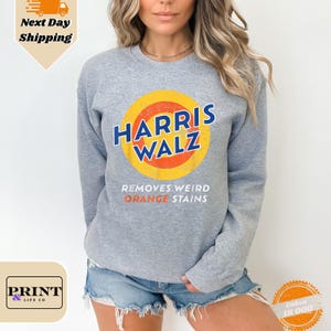 Anti Trump Shirt, Vote Sweatshirt, Vote Removes Sweatshirt, Joe Biden President,Vote Removes Stubborn Orange Stains,Anti Trump Gifts
