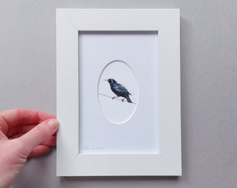 Mini Framed Starling - Giclée Print with Oval Mount in White Wooden Frame