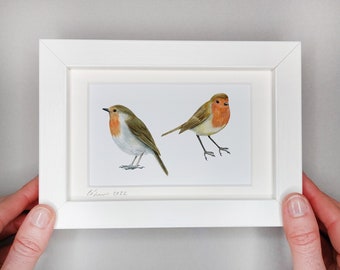 Pair of Robins - Framed Giclée Print