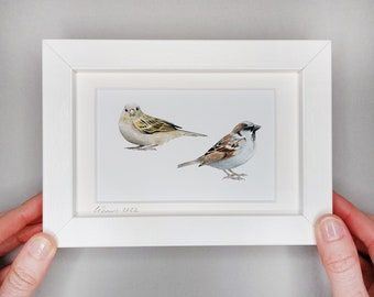 Pair of House Sparrows - Framed Giclée Print