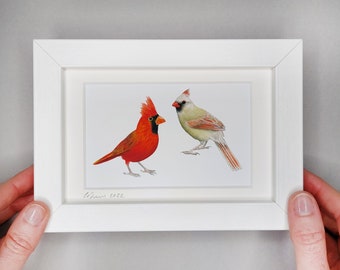 Pair of Cardinals - Framed Giclée Print