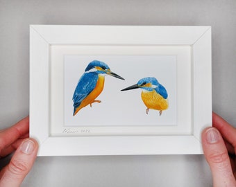 Pair of Kingfishers - Framed Giclée Print
