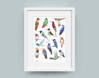 Hummingbirds - archival print