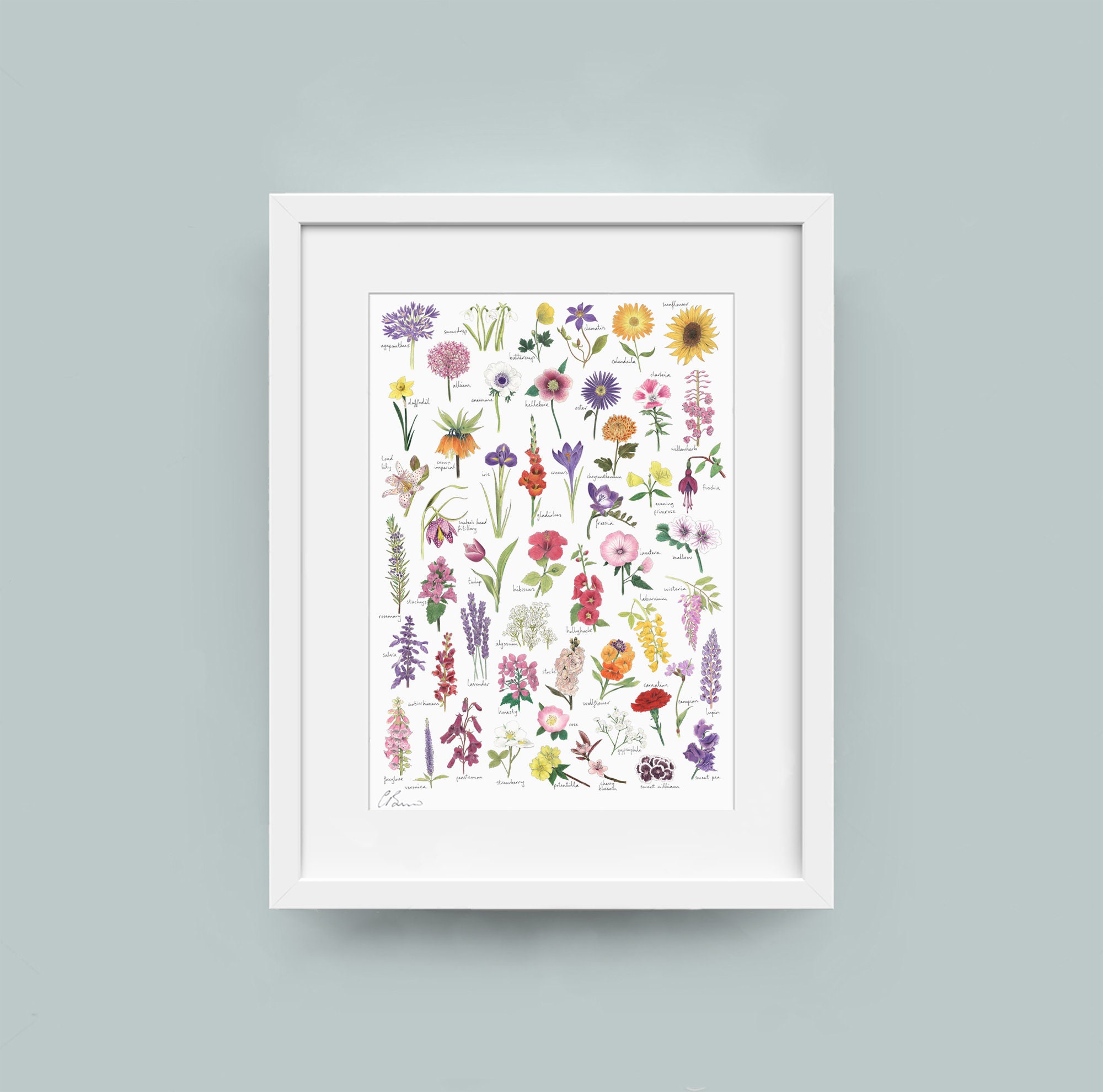 Flowers A3 print | Etsy