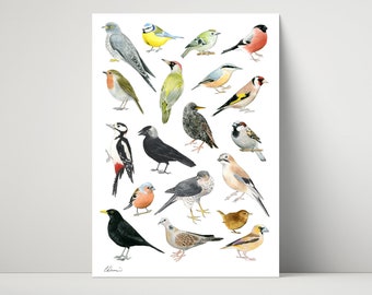 Woodland Birds - archival print