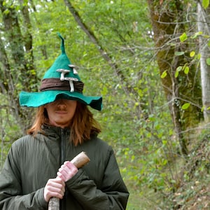 Chapeau de sorcière vert émeraude avec chapeau pointu en laine de magicien de la forêt de champignons pour Halloween, chapeau en feutre, chapeau de larp de costume de sorcière unisexe