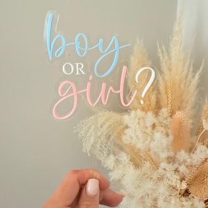 Acrylic Gender Reveal Cake Topper