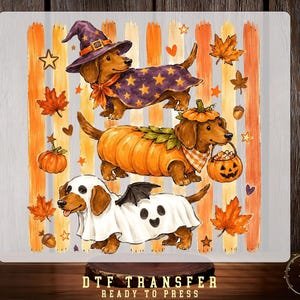 Peut inclure: Une feuille de transfert DTF représentant trois teckels en costumes d'Halloween sur un fond de rayures verticales orange et jaunes. Un chien porte un chapeau de sorcier et une cape violette étoilée, un autre est déguisé en citrouille, et le troisième porte un drap de fantôme blanc avec des ailes de chauve-souris. Des feuilles d'automne et des citrouilles les entourent.