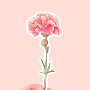 Flower sticker, Dianthus sticker, Watercolor flower sticker, Cute flower sticker, Vinyl flower sticker, Laptop sticker, Aesthetic flower