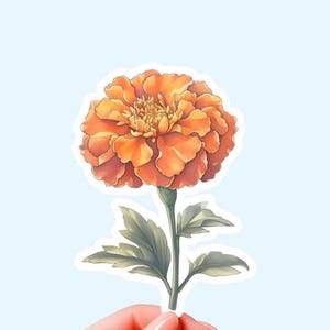 Flower sticker, marigold sticker, Watercolor sticker, Cute flower sticker, Vinyl flower sticker, Laptop sticker, Aesthetic flower