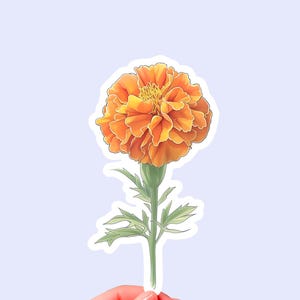 Flower sticker, marigold sticker, Watercolor sticker, Cute flower sticker, Vinyl flower sticker, Laptop sticker, Aesthetic flower