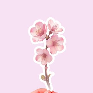 Flower sticker, Cherry blossom sticker, Watercolor sticker, Cute flower sticker, Vinyl flower sticker, Laptop sticker, Aesthetic flower