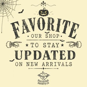 K&ouml;nnte beinhalten: Ein cremefarbenes Grafikschild mit einem schwarzen K&uuml;rbis, Spinnennetz und Flederm&auml;usen. Der Text lautet: FAVORITE OUR SHOP TO STAY UPDATED ON NEW ARRIVALS. Darunter befindet sich ein Totenkopf-Logo mit Fl&uuml;geln und Nocturnal Nursery Co.