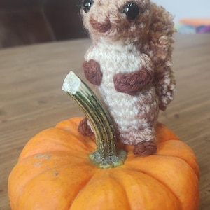 May include: A handmade crochet squirrel made from brown and white yarn, sitting on a small orange pumpkin. The squirrel has black safety eyes and brown details. The pumpkin is a bright orange colour.