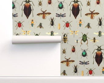 Repositionable FREE SHIPPING Wallpaper African Spiders Vintage Illustration Science Insects Peel /& Stick Wallpaper