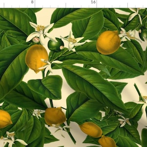 Summer Lemon Fabric - Lemon Botanical Trianon Cream By Peacoquettedesigns - Citrus Lemon Decor Cotton Fabric By The Yard With Spoonflower