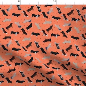 Pig Fabric - Polka Dot Show Pigs - Coral By Thecraftyblackbird - Pig Farm Animal Pork Hog Cotton Fabric By The Yard With Spoonflower