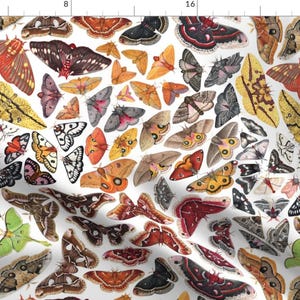 Moth Brown Butterflies Natural Fabric - Saturniid Moths Of North America By Jadafitch - Moth Cotton Fabric By The Yard With Spoonflower