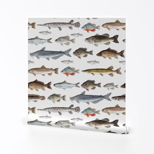 Fish Removable Peel and Stick Wallpaper -  Cabin Nature Stream Lake Outdoors Fishing - Wall Art Wall Decor - Freshwater Fish by twigandmoth