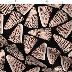 Shells Fabric - Cone Shell Black By Jenniejoyce - Beach Nautical Summer Cottage Island Decor Vaca Cotton Fabric By The Yard With Spoonflower