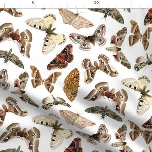 Vintage Moth Fabric - Moths On White By Jellymania - Moth Butterfly Insect Vintage Cotton Fabric By The Yard With Spoonflower