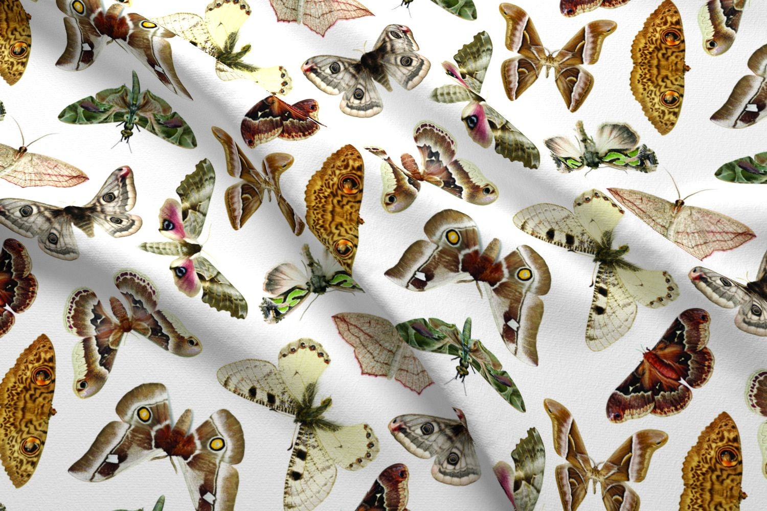 Vintage Moth Fabric Moths On White By Jellymania Moth Etsy