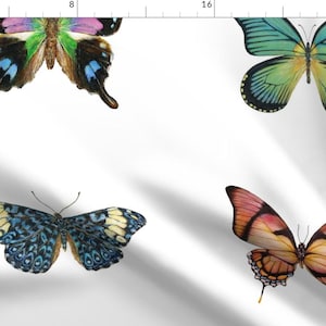 Butterfly Fabric - Large Butterflies By Angelaanderson - Art Butterflies Green White Blue Red Cotton Fabric By The Yard With Spoonflower