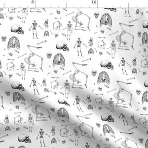 Bones Fabric - Skeletons Oh My By Mischievousdesign - Human Skeleton Bone Skull Anatomy Science Cotton Fabric By The Yard With Spoonflower