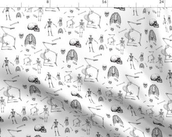 Bones Fabric - Skeletons Oh My By Mischievousdesign - Human Skeleton Bone Skull Anatomy Science Cotton Fabric By The Yard With Spoonflower