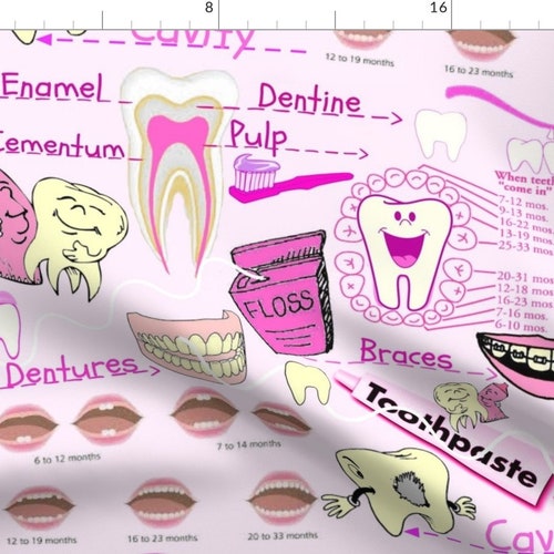 Dental Fabric Dental Anatomy by Bluevelvet Dentist Teeth Etsy