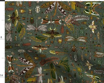Image showcasing Forest Floor Insects - Etsy