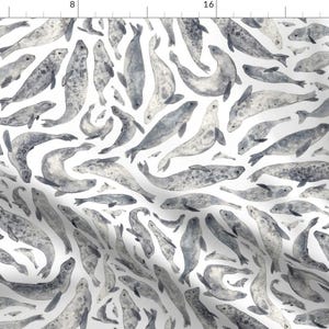 Seal Fabric - Seals And Sea Lions By Elena O&#39;Neill Illustration - Gray White Nautical Ocean Fish Cotton Fabric By The Yard With Spoonflower