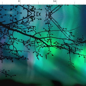 Aurora Borealis Fabric - Aurora Borealis And Tree Branch By Mjrojas - Green Blue Black Celestial Cotton Fabric By The Yard With Spoonflower