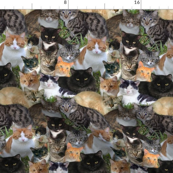 Cat Fabric - Kitty Kitten Calico Orange Black Photo Cat Montage Pet Cute By Eclectic House - Cotton Fabric By The Yard With Spoonflower