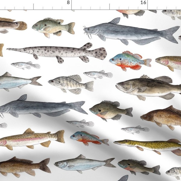 Fish Fabric - Freshwater Fish by twigandmoth -  Cabin Nature Stream Lake Outdoors Fishing Carp Minnow Fabric by the Yard by Spoonflower