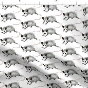 Possum Fabric - Possum By Rachel Wilson - Possum Woodland Nature Wildlife Gray Black Blush White Cotton Fabric By The Yard With Spoonflower