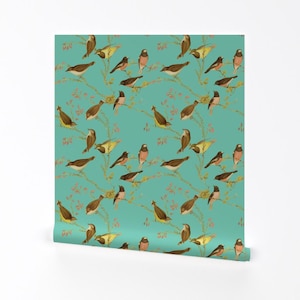Bird Wallpaper - Birds Of Australia Robins  By Peacoquettedesigns - Custom Printed Removable Self Adhesive Wallpaper Roll by Spoonflower