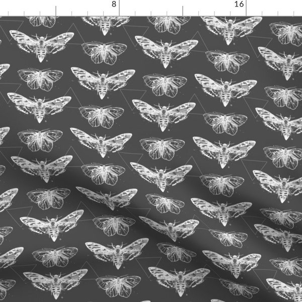 Moths Fabric - Geometric Moths - Inverted By Sam Nagel - Moths Gray White Etomology Triangles Cotton Fabric By The Yard With Spoonflower