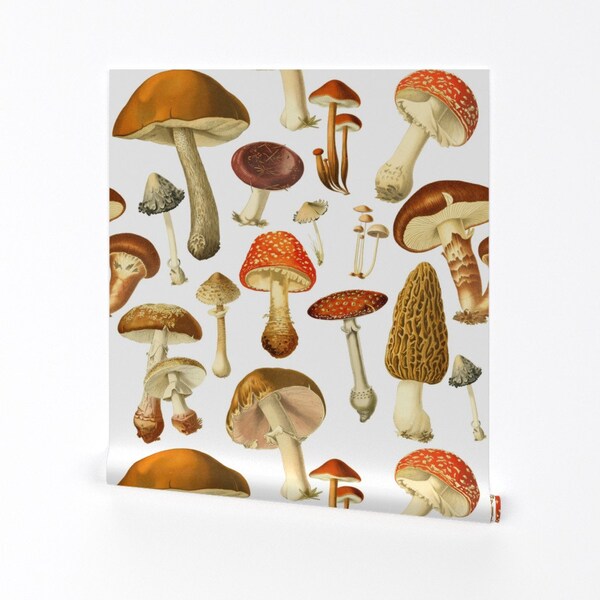 Forest Mushroom Wallpaper - Vintage Botanical Fungus By Redbriarstudio- Custom Printed Removable Self Adhesive Wallpaper Roll by Spoonflower