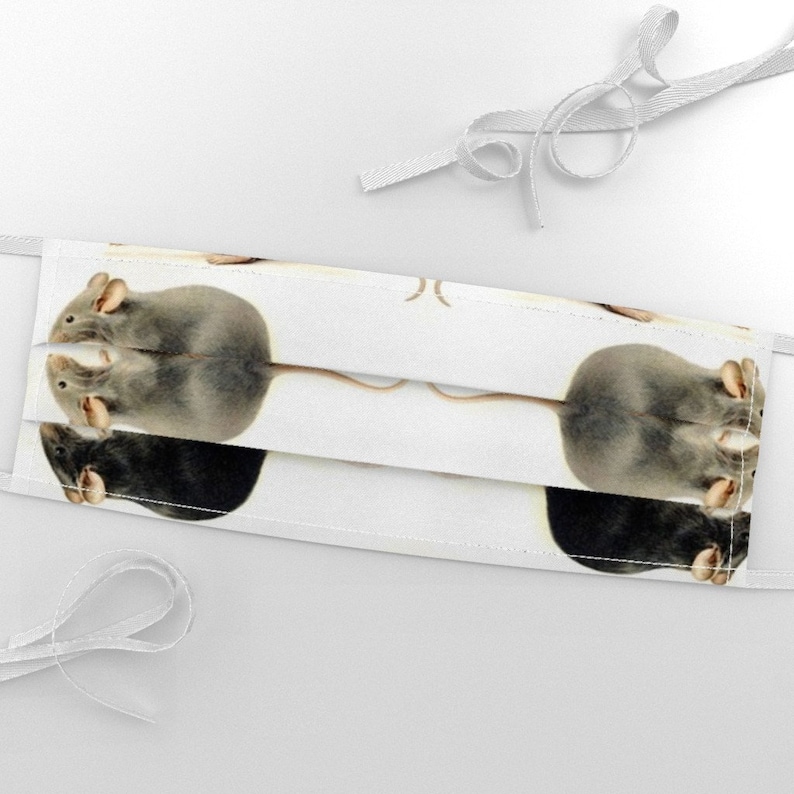 Mirrored Rats Fabric Rats by Ravynka Rats Mice Rodents Etsy