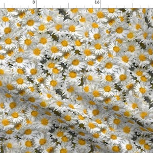 Daisy Fabric - Daisy Garden By Hannafate - Daisy Floral Flowers Botanical Photograph White Yellow Cotton Fabric By The Yard With Spoonflower