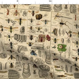 Vintage Entomology Fabric - I Am Bugging Out In Historic Proportions! By Peacoquettedesigns - Cotton Fabric By The Yard With Spoonflower