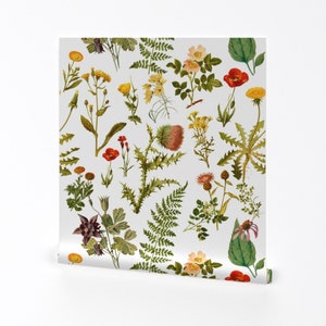 Botanicals Wallpaper - Vintage Botanical Wildflower By Redbriarstudio - Custom Printed Removable Self Adhesive Wallpaper Roll by Spoonflower