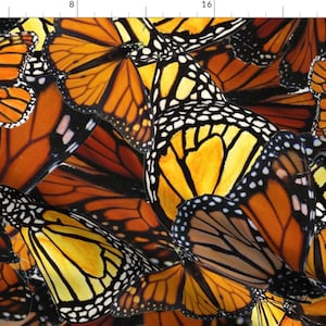 Butterfly Fabric - Australian Wanderer Butterflies By Wiccked - Butterfly Wings Orange Black Fly Cotton Fabric By The Yard With Spoonflower