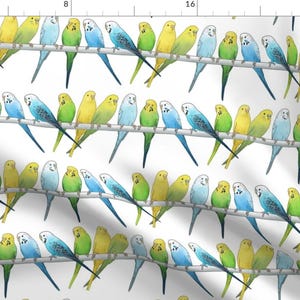 Bird Fabric - Rows Of Colourful Budgies - Larger Scale By Hazelfishercreations - Budgie Birds Pet Cotton Fabric By The Yard With Spoonflower