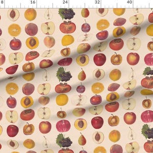 May include: A seamless pattern featuring a variety of fruits, including apples, pears, peaches, plums, and persimmons. The fruits are depicted in a vintage style, with a light beige background.