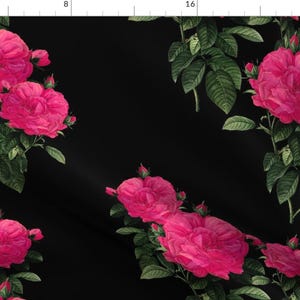 Pink Roses Fabric - Redoute Rose Hot Pink On Black By Peacoquettedesigns - Photography Floral Cotton Fabric By The Yard With Spoonflower