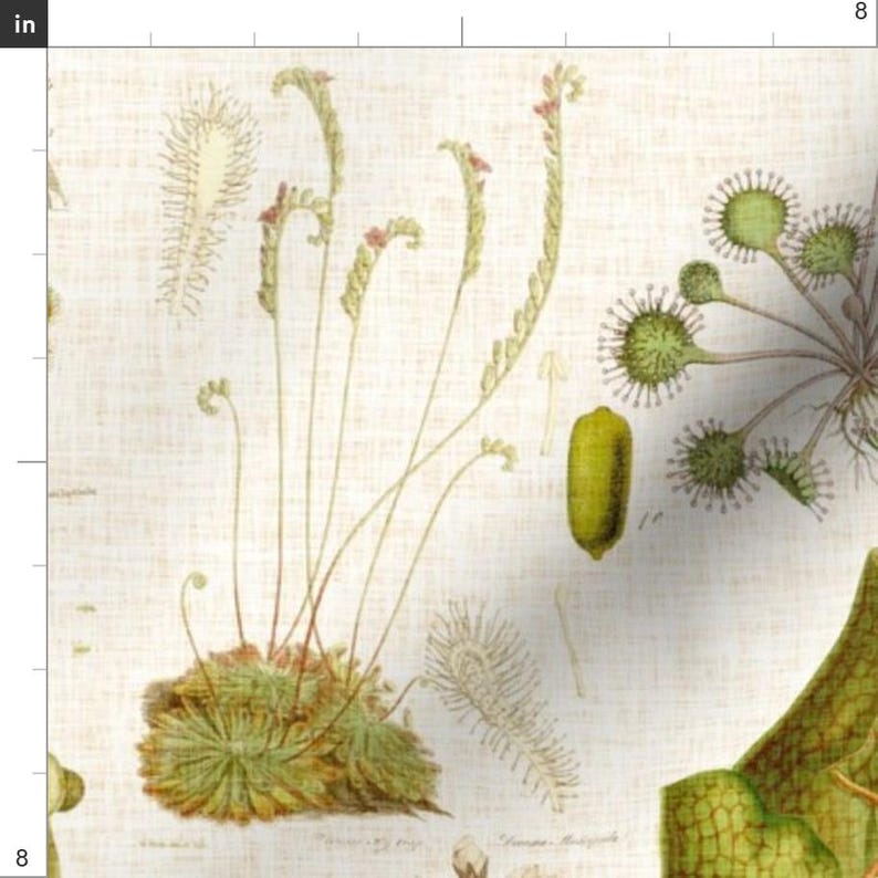 Carnivorous Plant Fabric - Carnivorous Plants Linen By Thecalvarium - Carnivorous Plant Botanical Cotton Fabric By The Yard With Spoonflower image 3