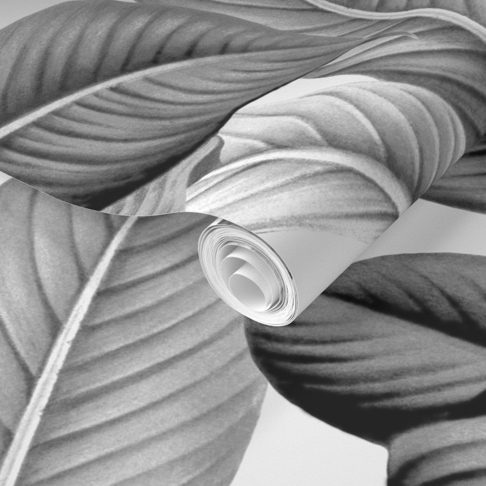 Palm Leaf Wallpaper Palm in Palm Black White by Etsy